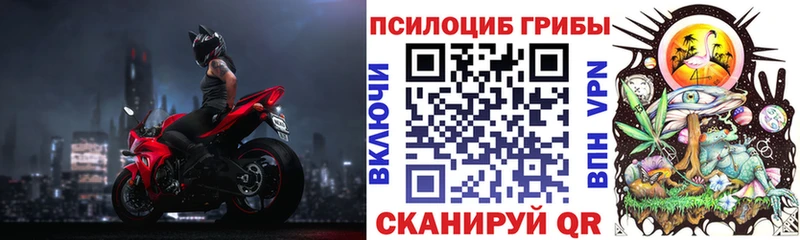 Галлюциногенные грибы мицелий  Торопец 